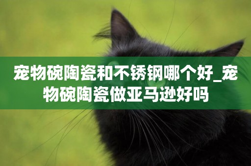 寵物碗陶瓷和不銹鋼哪個好_寵物碗陶瓷做亞馬遜好嗎