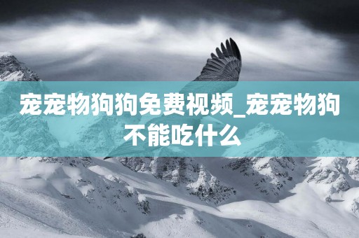 寵寵物狗狗免費視頻_寵寵物狗 不能吃什么