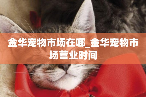 金華寵物市場在哪_金華寵物市場營業時間