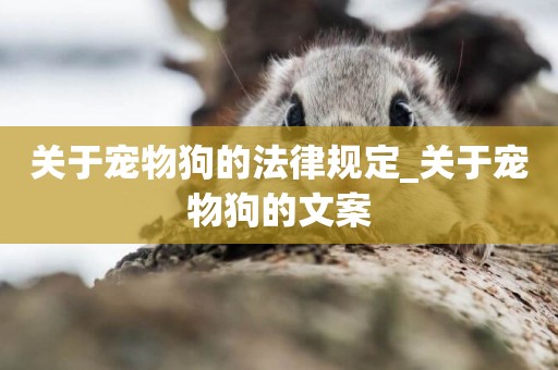 關于寵物狗的法律規定_關于寵物狗的文案
