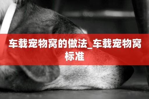 車載寵物窩的做法_車載寵物窩標準