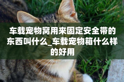 車載寵物窩用來固定安全帶的東西叫什么_車載寵物箱什么樣的好用