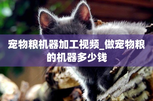 寵物糧機器加工視頻_做寵物糧的機器多少錢