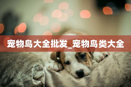 寵物鳥大全批發_寵物鳥類大全