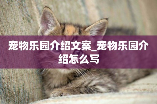 寵物樂園介紹文案_寵物樂園介紹怎么寫
