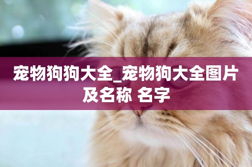 寵物狗狗大全_寵物狗大全圖片及名稱 名字