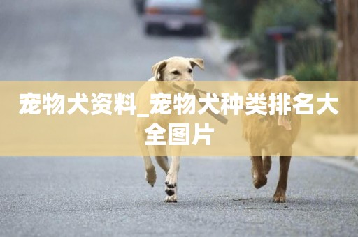寵物犬資料_寵物犬種類排名大全圖片