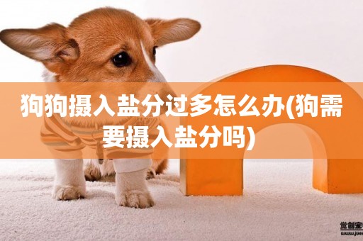 狗狗攝入鹽分過多怎么辦(狗需要攝入鹽分嗎) 