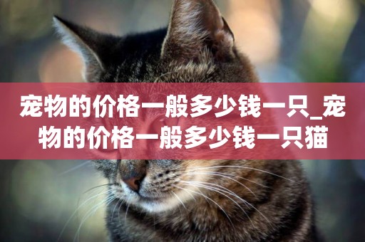 寵物的價格一般多少錢一只_寵物的價格一般多少錢一只貓