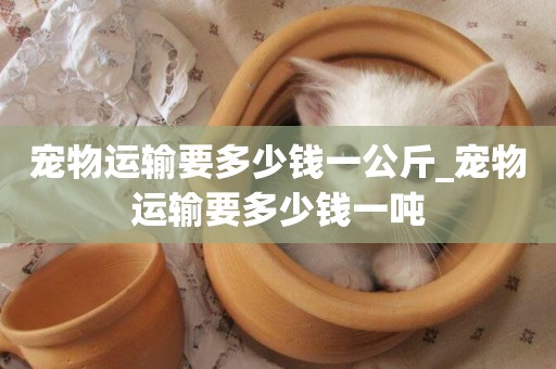 寵物運輸要多少錢一公斤_寵物運輸要多少錢一噸
