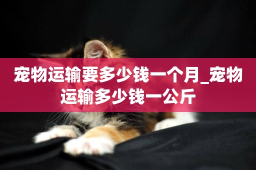 寵物運輸要多少錢一個月_寵物運輸多少錢一公斤