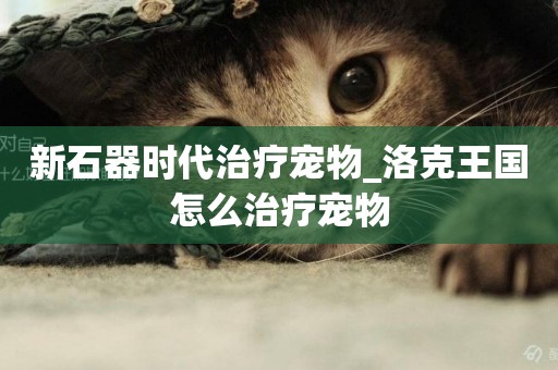 新石器時代治療寵物_洛克王國怎么治療寵物