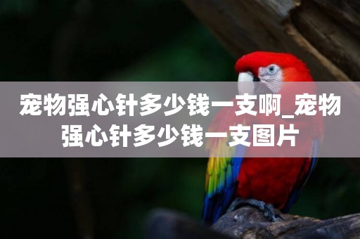 寵物強心針多少錢一支啊_寵物強心針多少錢一支圖片