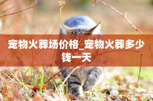寵物火葬場價格_寵物火葬多少錢一天