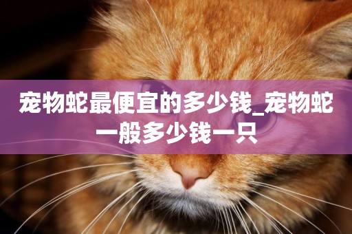 寵物蛇最便宜的多少錢_寵物蛇一般多少錢一只