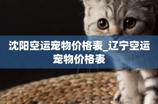 沈陽空運寵物價格表_遼寧空運寵物價格表