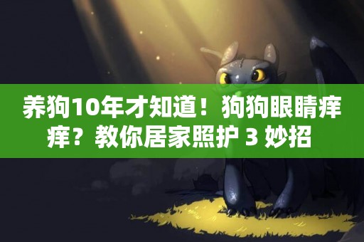 養狗10年才知道！狗狗眼睛癢癢？教你居家照護３妙招 