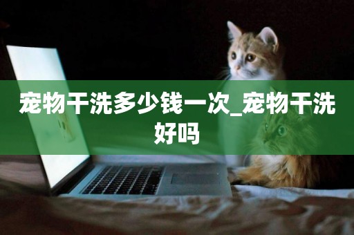 寵物干洗多少錢一次_寵物干洗好嗎