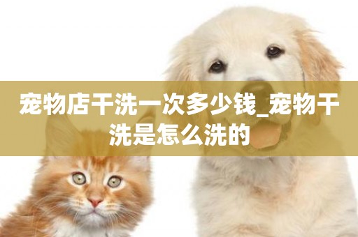 寵物店干洗一次多少錢_寵物干洗是怎么洗的