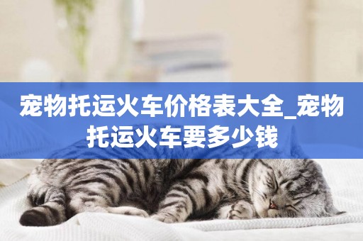 寵物托運火車價格表大全_寵物托運火車要多少錢
