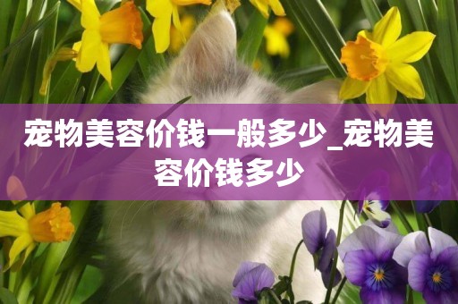 寵物美容價錢一般多少_寵物美容價錢多少