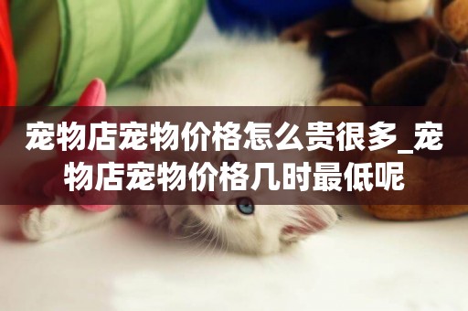 寵物店寵物價格怎么貴很多_寵物店寵物價格幾時最低呢