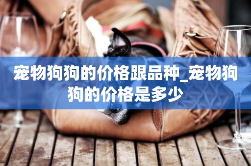 寵物狗狗的價格跟品種_寵物狗狗的價格是多少