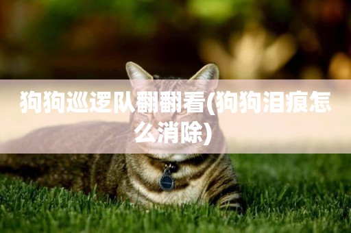 狗狗巡邏隊翻翻看(狗狗淚痕怎么消除) 