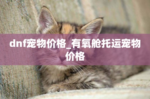 dnf寵物價格_有氧艙托運寵物價格