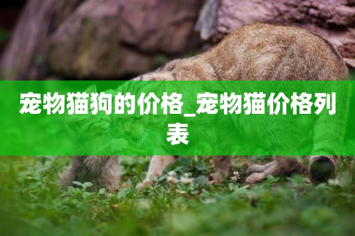 寵物貓狗的價格_寵物貓價格列表