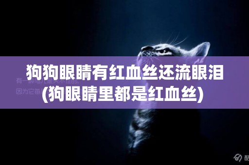 狗狗眼睛有紅血絲還流眼淚(狗眼睛里都是紅血絲) 