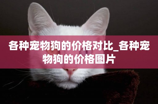 各種寵物狗的價格對比_各種寵物狗的價格圖片