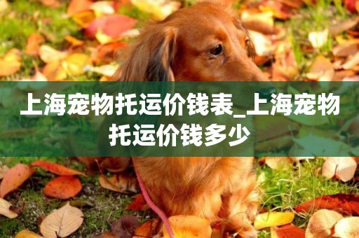 上海寵物托運價錢表_上海寵物托運價錢多少