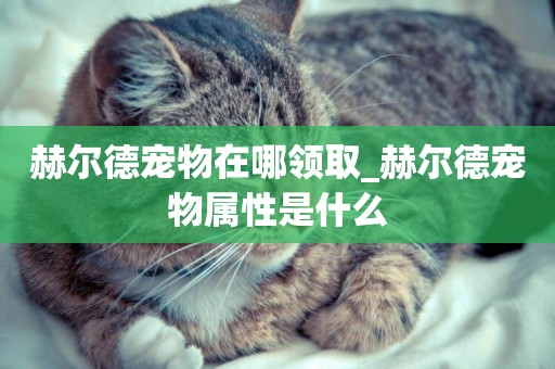 赫爾德寵物在哪領取_赫爾德寵物屬性是什么