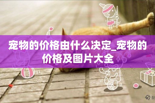 寵物的價格由什么決定_寵物的價格及圖片大全