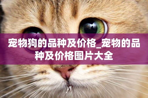 寵物狗的品種及價格_寵物的品種及價格圖片大全