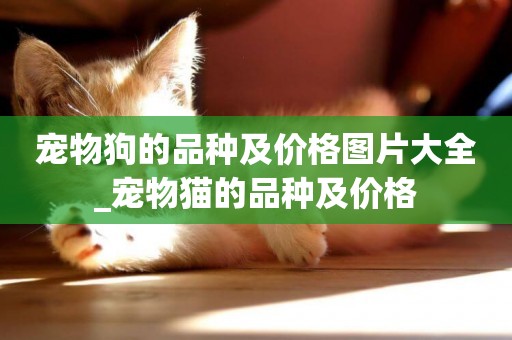 寵物狗的品種及價格圖片大全_寵物貓的品種及價格