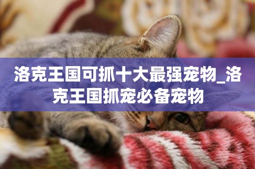 洛克王國可抓十大最強寵物_洛克王國抓寵必備寵物