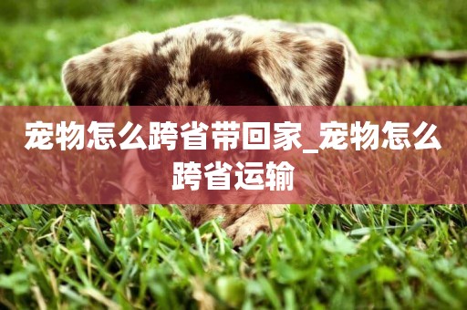 寵物怎么跨省帶回家_寵物怎么跨省運輸