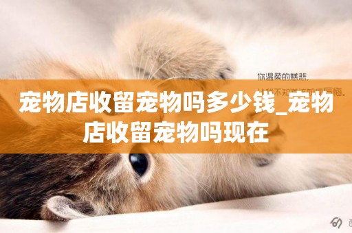 寵物店收留寵物嗎多少錢_寵物店收留寵物嗎現在