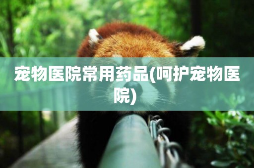 寵物醫院常用藥品(呵護寵物醫院) 