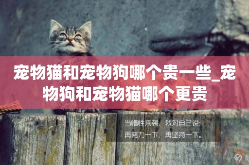 寵物貓和寵物狗哪個貴一些_寵物狗和寵物貓哪個更貴