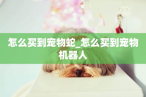 怎么買到寵物蛇_怎么買到寵物機器人