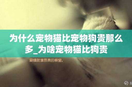 為什么寵物貓比寵物狗貴那么多_為啥寵物貓比狗貴