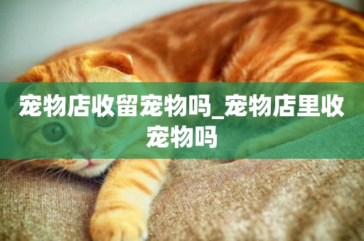 寵物店收留寵物嗎_寵物店里收寵物嗎