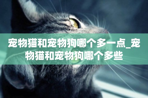寵物貓和寵物狗哪個多一點_寵物貓和寵物狗哪個多些