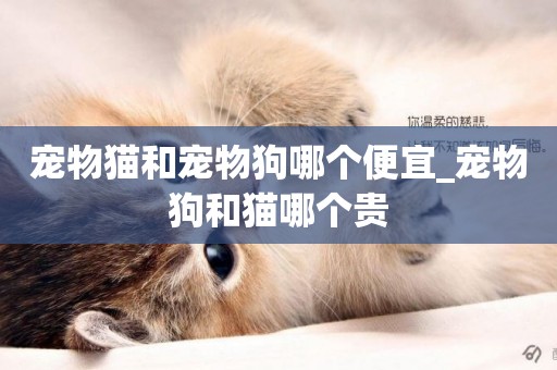寵物貓和寵物狗哪個便宜_寵物狗和貓哪個貴