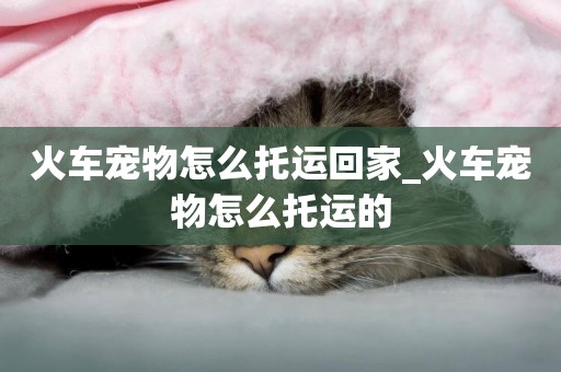火車寵物怎么托運回家_火車寵物怎么托運的