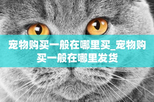 寵物購買一般在哪里買_寵物購買一般在哪里發貨