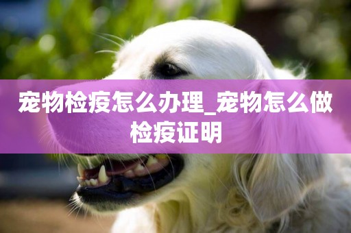 寵物檢疫怎么辦理_寵物怎么做檢疫證明
